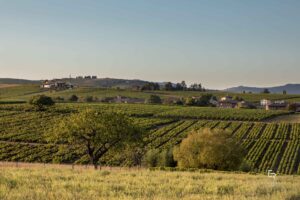 Crémants & Vins Effervescents